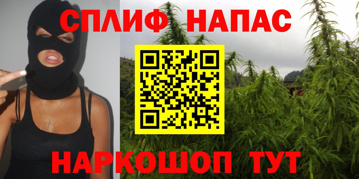 Марихуана план Нарткала